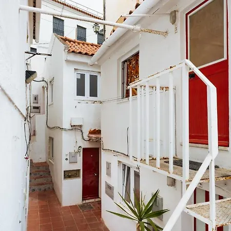 Cozy Flat Downtown Intendente And Graca