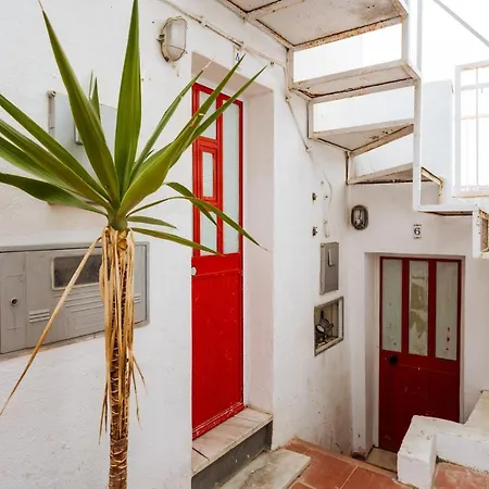 Cozy Flat Downtown Intendente And Graca 아파트