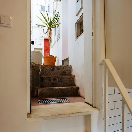 Cozy Flat Downtown Intendente And Graca 아파트