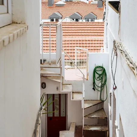 Cozy Flat Downtown Intendente And Graca 아파트 *