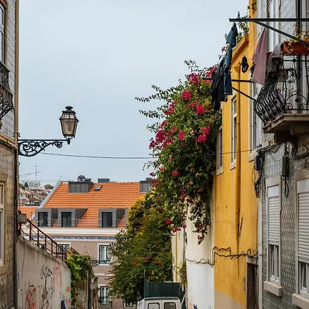 아파트 Cozy Flat Downtown Intendente And Graca *